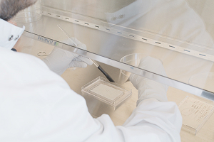 Image of Scientist handling lab samples under a sterile hood