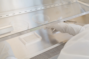 Image of Scientist working with lab equipment