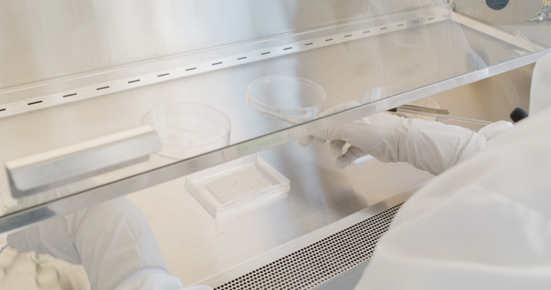 Image of Scientist working with lab equipment